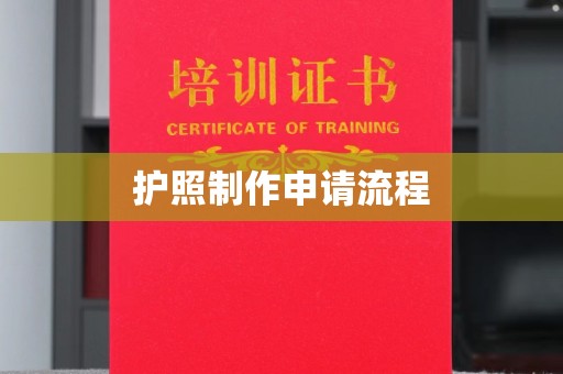 正定护照制作申请流程